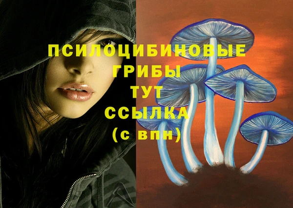 ПСИЛОЦИБИНОВЫЕ ГРИБЫ Магас