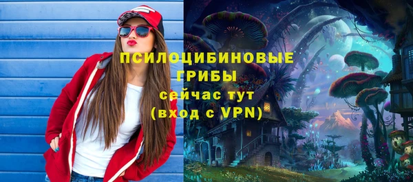 тгк Майский