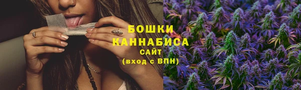 тгк Майский