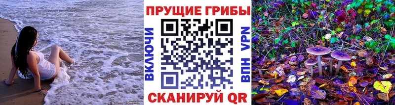 Галлюциногенные грибы Cubensis  продажа наркотиков  Шагонар 
